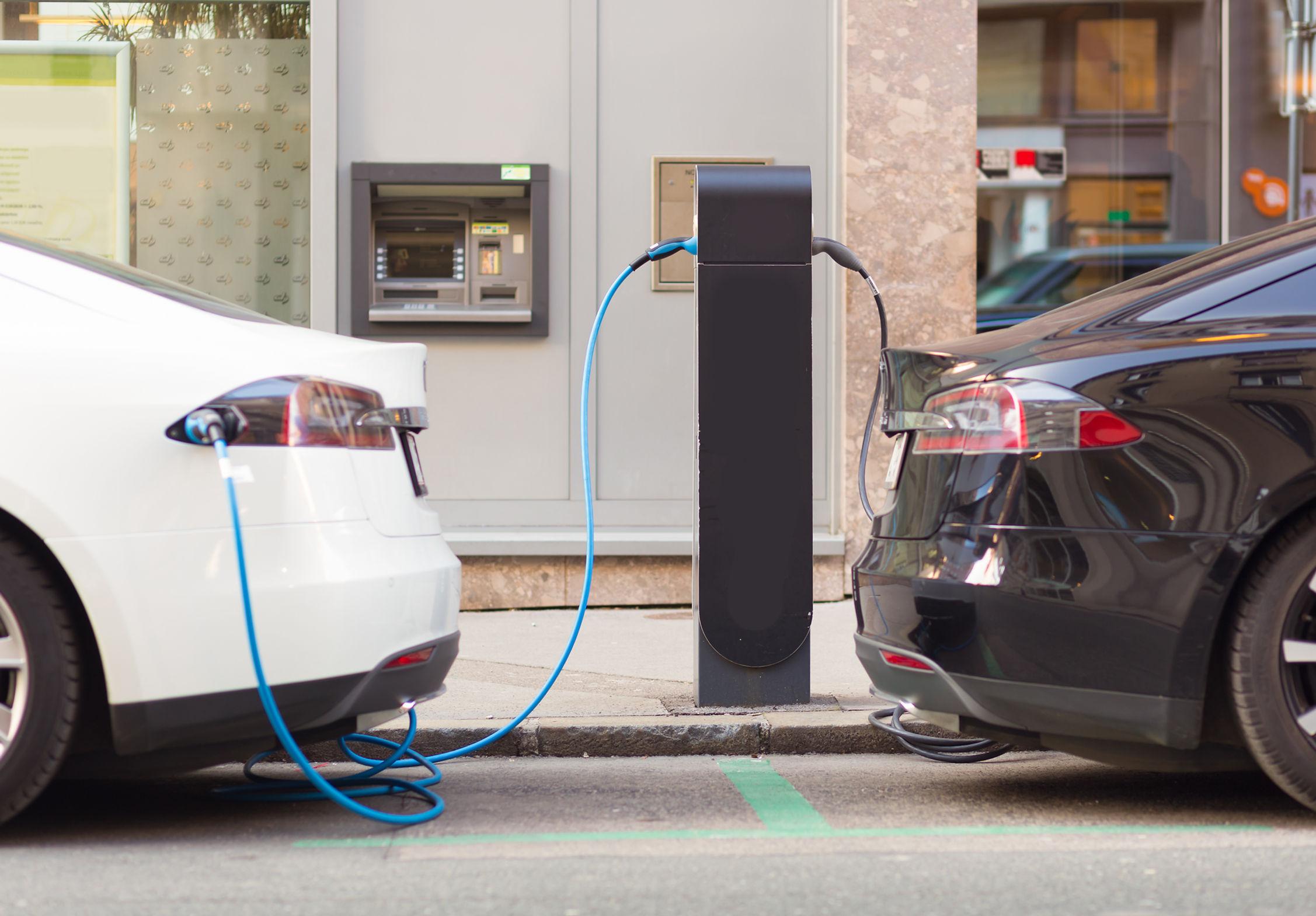 Véhicules en charge sur une borne Babitric